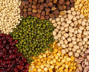 Indian Dal / Pulses Supplier Italy